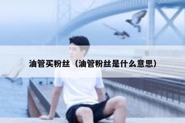 油管买粉丝（油管粉丝是什么意思）  第1张