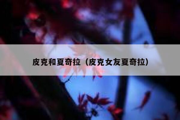 皮克和夏奇拉（皮克女友夏奇拉）  第1张
