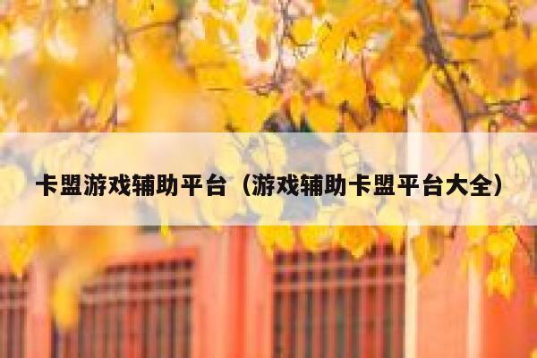 卡盟游戏辅助平台（游戏辅助卡盟平台大全）  第1张
