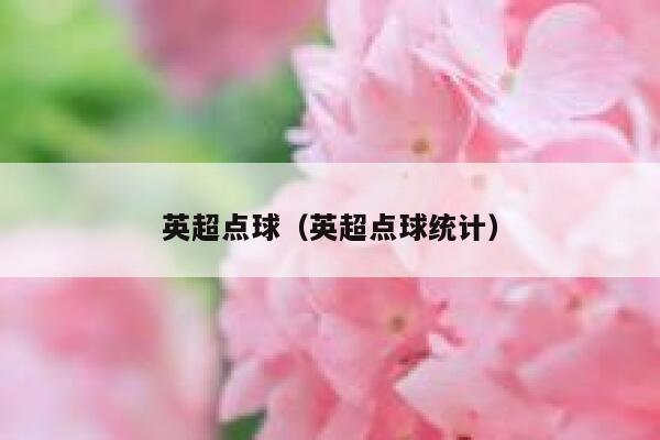 英超点球（英超点球统计）  第1张