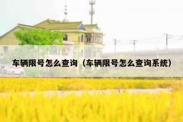 车辆限号怎么查询（车辆限号怎么查询系统）  第1张