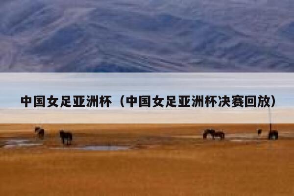 中国女足亚洲杯（中国女足亚洲杯决赛回放）  第1张