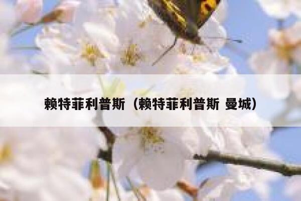 赖特菲利普斯（赖特菲利普斯 曼城）  第1张