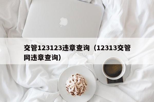 交管123123违章查询（12313交管网违章查询） 第1张