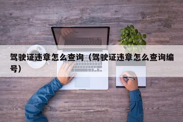驾驶证违章怎么查询（驾驶证违章怎么查询编号） 第1张
