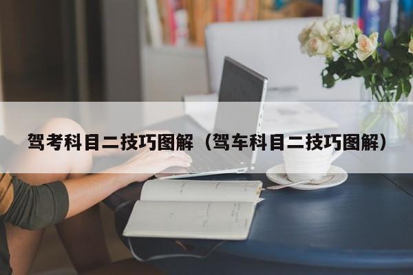 驾考科目二技巧图解（驾车科目二技巧图解） 第1张