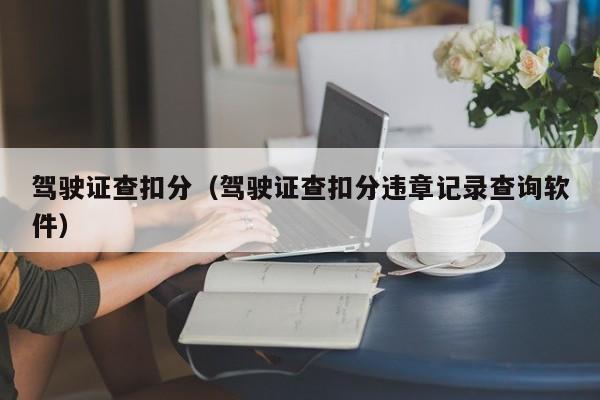 驾驶证查扣分（驾驶证查扣分违章记录查询软件） 第1张