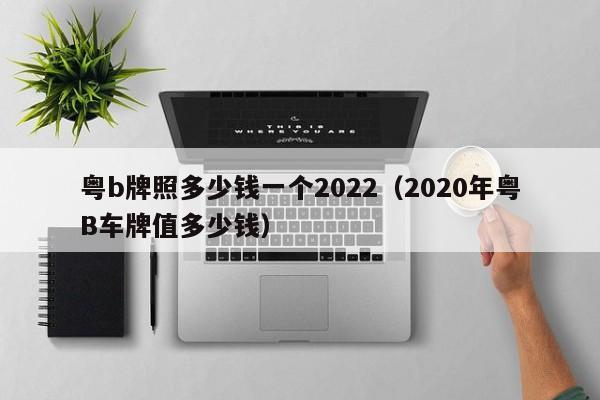 粤b牌照多少钱一个2022（2020年粤B车牌值多少钱） 第1张