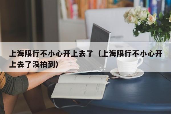 上海限行不小心开上去了（上海限行不小心开上去了没拍到） 第1张