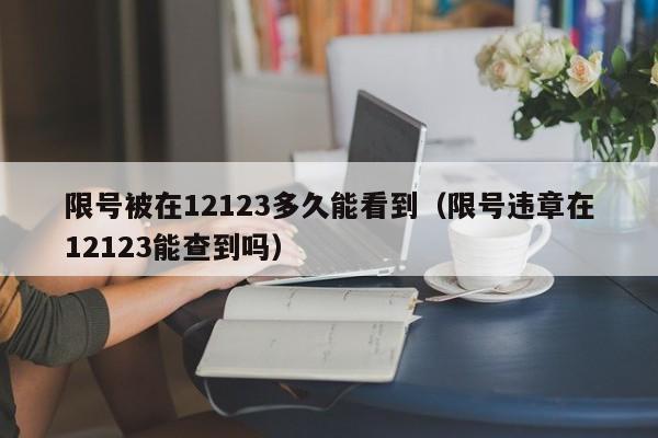 限号被在12123多久能看到（限号违章在12123能查到吗） 第1张