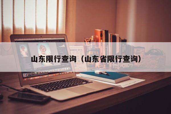 山东限行查询（山东省限行查询） 第1张